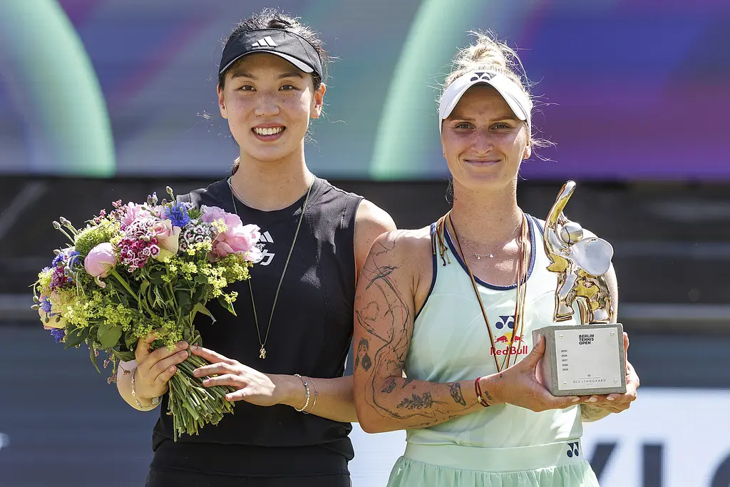 她在和李安 她在和李安