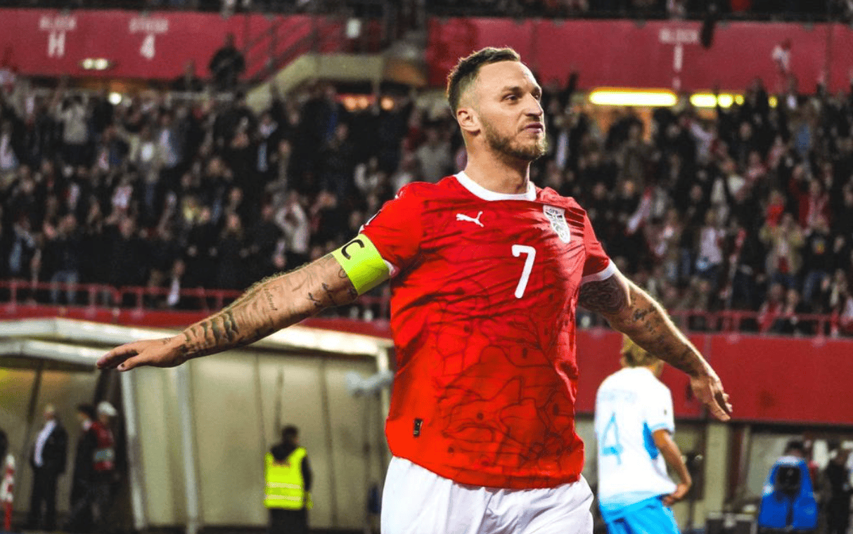 他在上海海 他在上海海